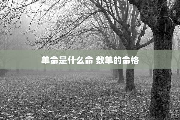 羊命是什么命 数羊的命格