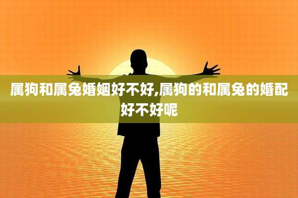 属狗和属兔婚姻好不好,属狗的和属兔的婚配好不好呢