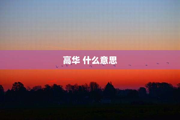 高华 什么意思