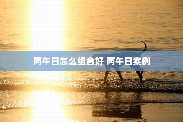丙午日怎么组合好 丙午日案例