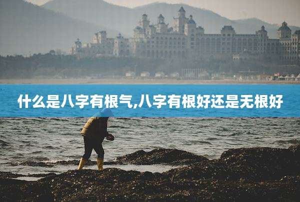 什么是八字有根气,八字有根好还是无根好