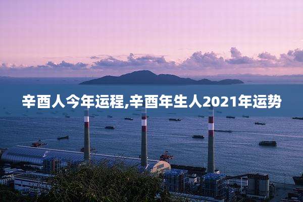 辛酉人今年运程,辛酉年生人2021年运势