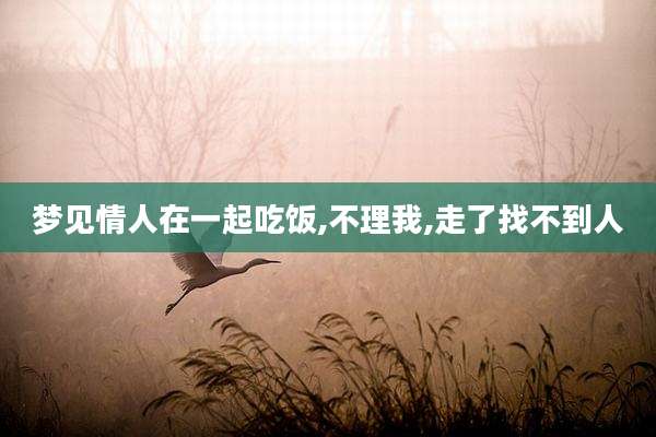 梦见情人在一起吃饭,不理我,走了找不到人