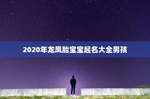 2020年龙凤胎宝宝起名大全男孩