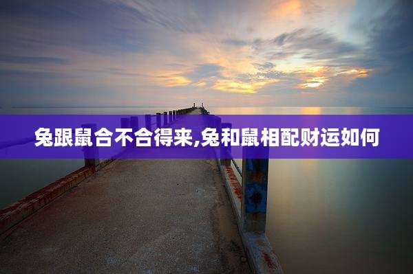 兔跟鼠合不合得来,兔和鼠相配财运如何