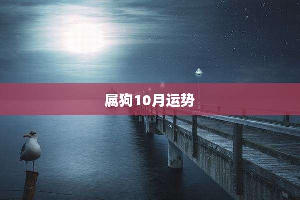 属狗10月运势