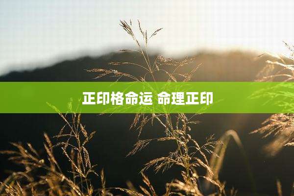 正印格命运 命理正印
