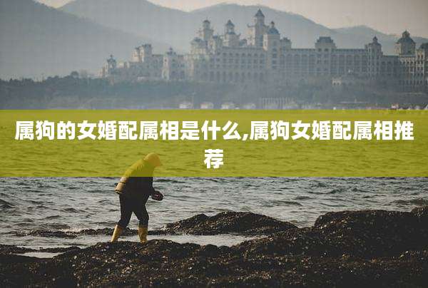 属狗的女婚配属相是什么,属狗女婚配属相推荐