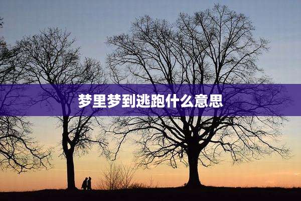 梦里梦到逃跑什么意思