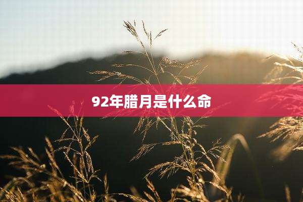 92年腊月是什么命