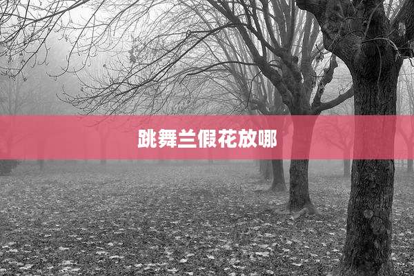 跳舞兰假花放哪