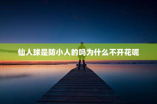 仙人球是防小人的吗为什么不开花呢