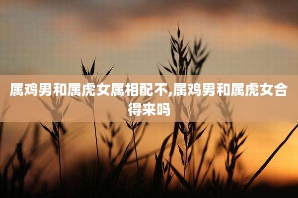 属鸡男和属虎女属相配不,属鸡男和属虎女合得来吗