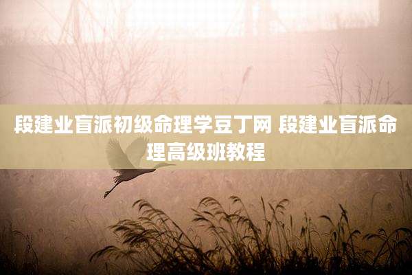 段建业盲派初级命理学豆丁网 段建业盲派命理高级班教程