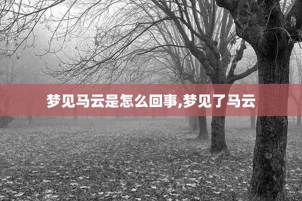 梦见马云是怎么回事,梦见了马云