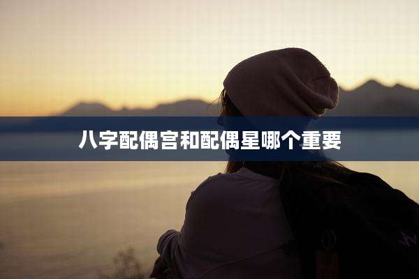 八字配偶宫和配偶星哪个重要