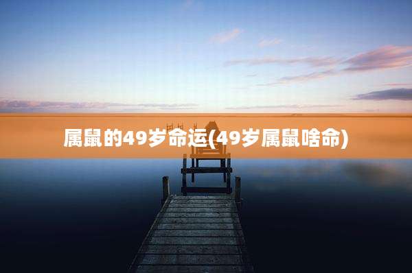 属鼠的49岁命运(49岁属鼠啥命)