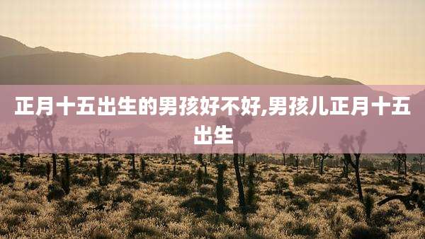 正月十五出生的男孩好不好,男孩儿正月十五出生