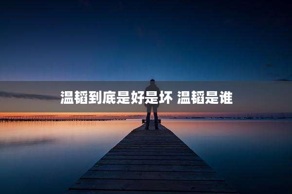 温韬到底是好是坏 温韬是谁