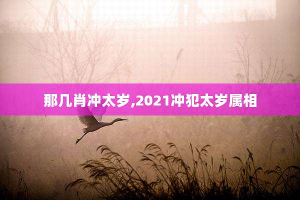 那几肖冲太岁,2021冲犯太岁属相
