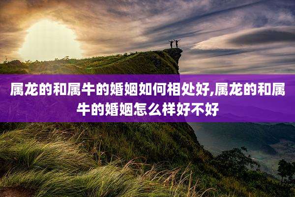 属龙的和属牛的婚姻如何相处好,属龙的和属牛的婚姻怎么样好不好