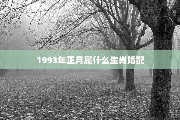 1993年正月属什么生肖婚配