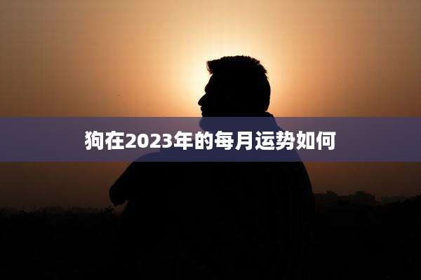 狗在2023年的每月运势如何