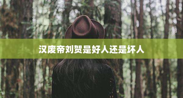 汉废帝刘贺是好人还是坏人