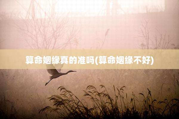 算命姻缘真的准吗(算命姻缘不好)