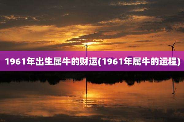 1961年出生属牛的财运(1961年属牛的运程)