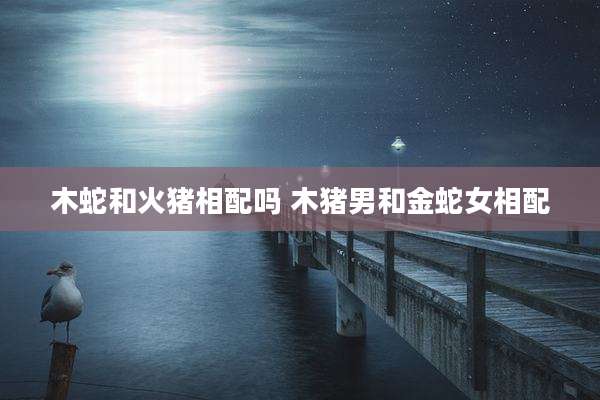 木蛇和火猪相配吗 木猪男和金蛇女相配