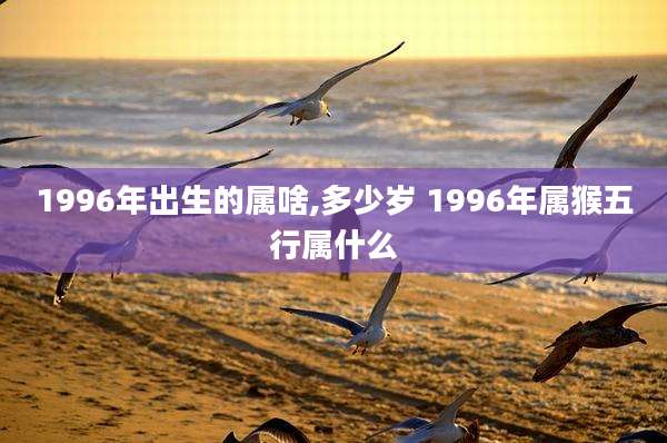 1996年出生的属啥,多少岁 1996年属猴五行属什么
