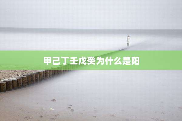 甲己丁壬戊癸为什么是阳