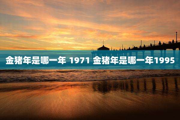 金猪年是哪一年 1971 金猪年是哪一年1995