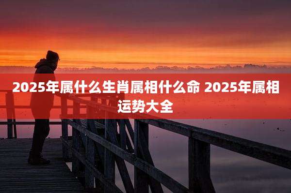 2025年属什么生肖属相什么命 2025年属相运势大全
