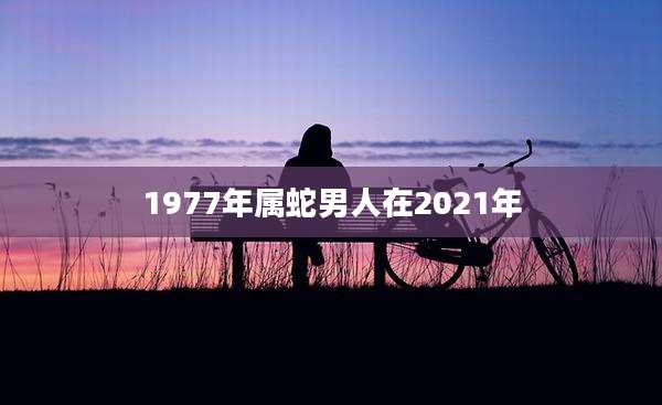 1977年属蛇男人在2021年