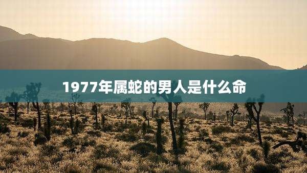 1977年属蛇的男人是什么命