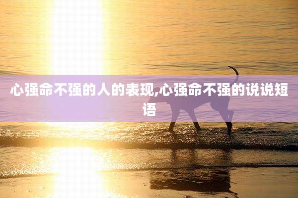 心强命不强的人的表现,心强命不强的说说短语