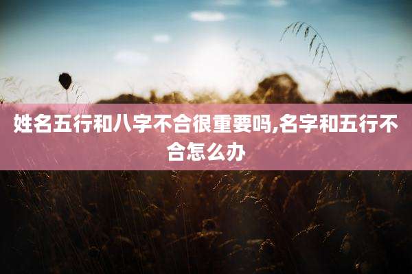 姓名五行和八字不合很重要吗,名字和五行不合怎么办