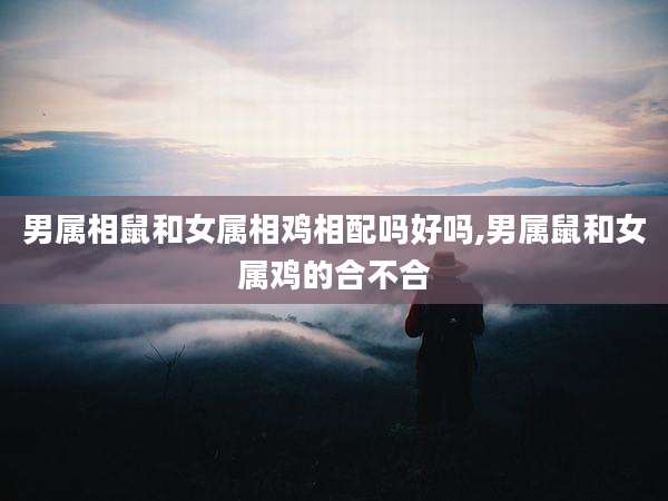 男属相鼠和女属相鸡相配吗好吗,男属鼠和女属鸡的合不合