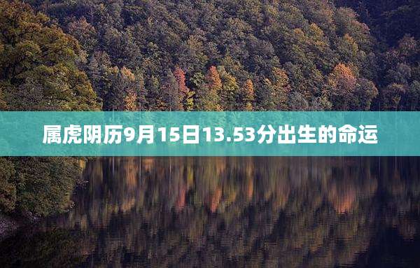 属虎阴历9月15日13.53分出生的命运