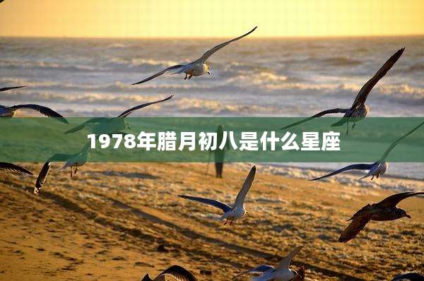 1978年腊月初八是什么星座