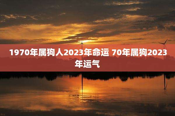 1970年属狗人2023年命运 70年属狗2023年运气