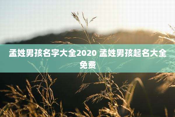 孟姓男孩名字大全2020 孟姓男孩起名大全免费