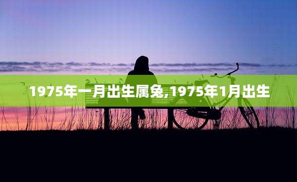 1975年一月出生属兔,1975年1月出生
