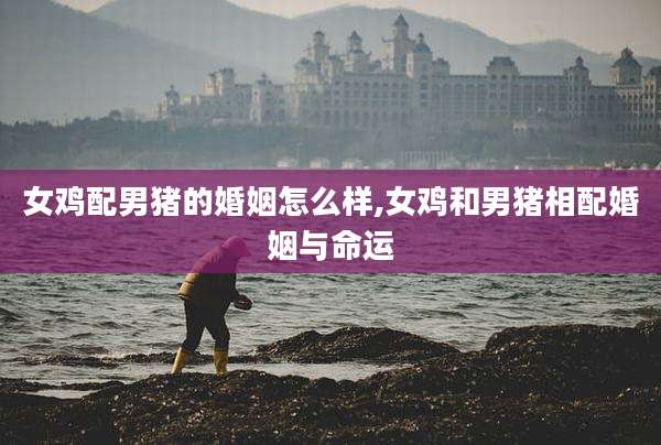 女鸡配男猪的婚姻怎么样,女鸡和男猪相配婚姻与命运