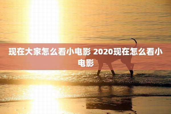 现在大家怎么看小电影 2020现在怎么看小电影