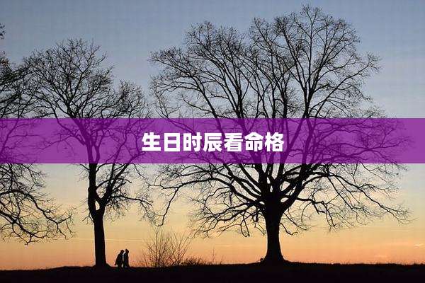生日时辰看命格