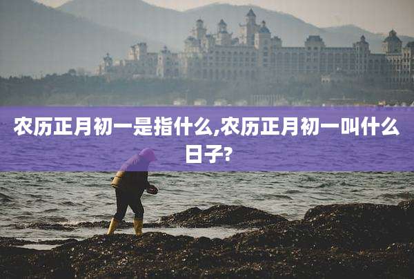 农历正月初一是指什么,农历正月初一叫什么日子?