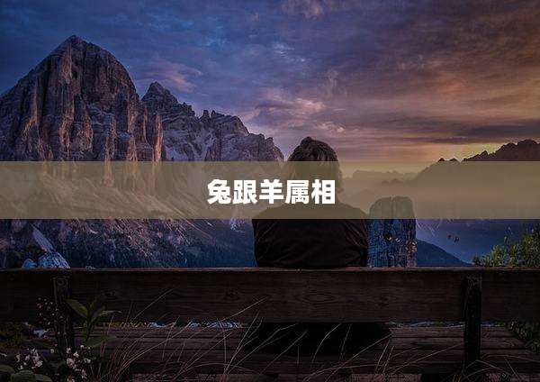 兔跟羊属相